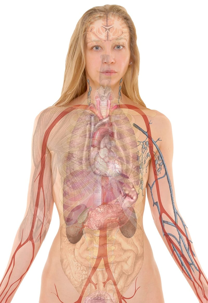 Lung Expansion Exercises
