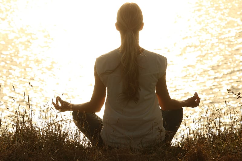 Conscious Movement
